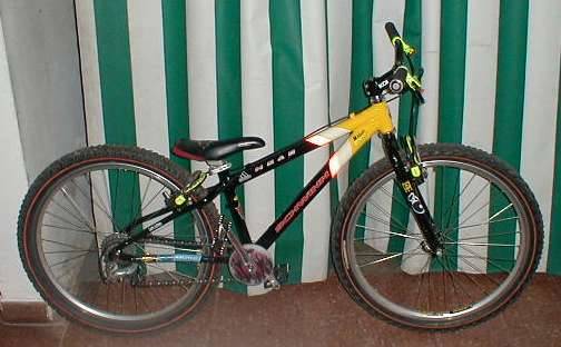 Schwinn Moab 12'' de Javoo