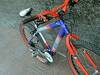 bici robada