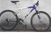 me robaron la bike GT zascar