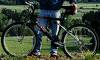 Raleigh M3000 - Gratificar informacin