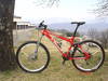 foto de Vendo SPECIALIZED EPIC M5