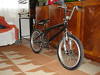 foto de Vendo Gt  Bmx  Freestyle 