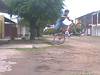 foto de Tailwhip