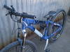 foto de my umf hardy 7