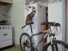 foto de quien dice que los gatos no saben de bike