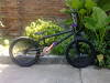 foto de BIKECHECK! del cat :P