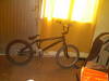 foto de bike check de camella 