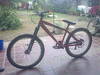 foto de mi bike opinen