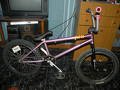 foto de bike check 2011