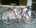 foto de mi bianchi