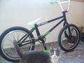 foto de Vendo Battle Colt V10 y Varias Yerbas mas - 2011