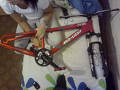 foto de Mi and light