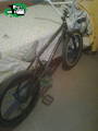 foto de Vendo  Bmx