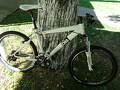 ME ROBARON LA BICICLETA
