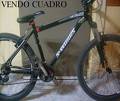 foto de Vendo o permuto  urgente  cuadro specialized