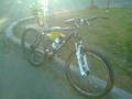 foto de Mi venzo mx-6