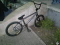 foto de La bike!