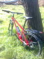 foto de MI CANNONDALE F6