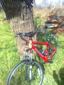 foto de CANNONDALE F6