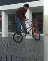 foto de Bunny barspin