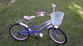 foto de Vendo Bici Rod. 16