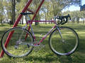 VENDIDA Colnago Master Olympic Art Decor con Campagnolo Record Titanium