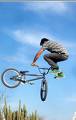 foto de tailwhip...