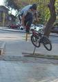 foto de whip! al palo