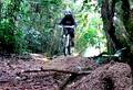 foto de video. buen downhill