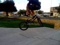 foto de whip a 4 video