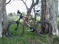 foto de Vendo OLMO 2010