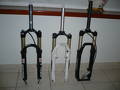 Vendo Reba team - Rst first - Rst first platinum