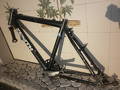 foto de Vendo CUADRO ZENITH LANIN XC 1997