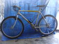 foto de Vendo Raleigh MT 300 Aluminium