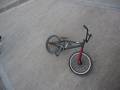 Vendo Bike Robada