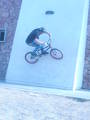 foto de wallride