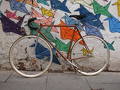 foto de fixed gear II