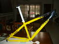 Vendo GIANT XTC !!!