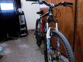 foto de salio bike check