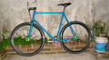 foto de Fixie estreno
