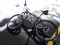 foto de Schwinn congelada pero intacta