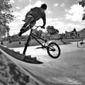 foto de tailwhip