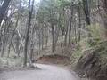 foto de neuquen camino al volcan lanin