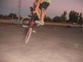 foto de whip..!!