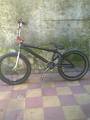 foto de BIKE CHECK