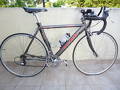 Vendo Olmo carrera 2005