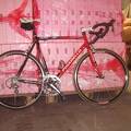 foto de  PINARELLO ROBADA EN SAN LUIS