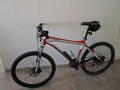 foto de RALEIGH 8.0W