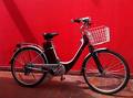 Vendo Bicicleta electrica E-trotter