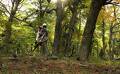 foto de Que lindo el bosque para andar en bici.!